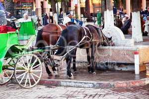 Marrakesch Platz Djemaa el Fna 262