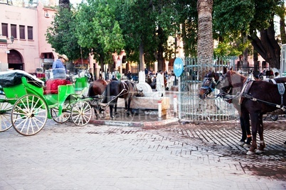 Marrakesch Platz Djemaa el Fna 263