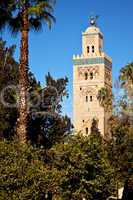 Koutoubia Moschee von Marrakesch 493