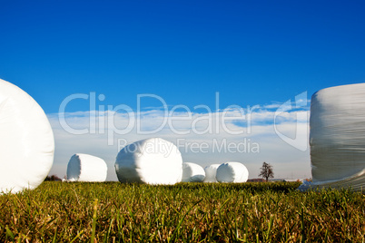 Silageballen auf der Wiese 719