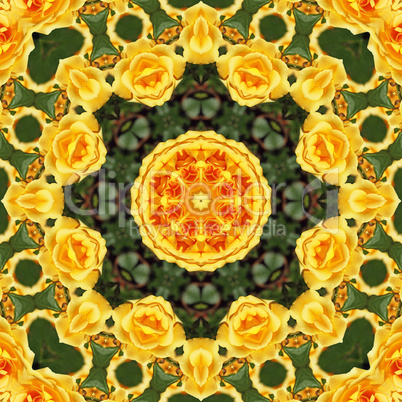 Gelbe Rosen Mandala - Yellow Roses Mandala