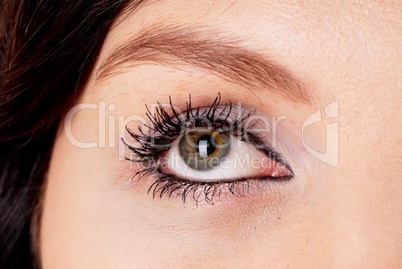 Woman eye