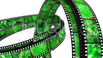 Two 3d films ring with nature