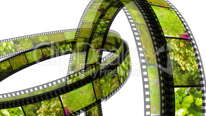 Two 3d films ring with nature