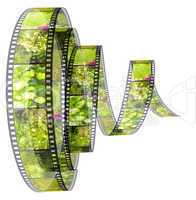 3d film Segment rolled forward