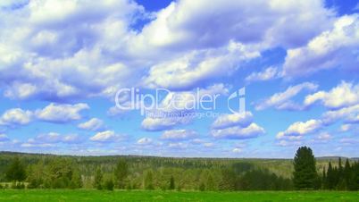 timelapse nature scene green field, coniferous forest, and flying clouds