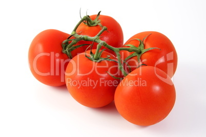 Tomate, Tomaten