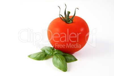 Tomate, Tomaten