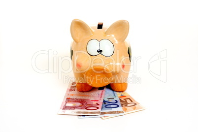 Sparschwein mit Geldscheinen