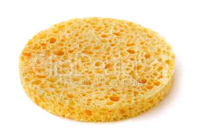 Facial Sponge