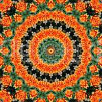 Orange Rosen Mandala - Orange Roses Mandala