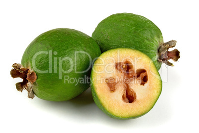 Feijoa