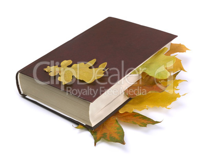Autumn  leaves in the book