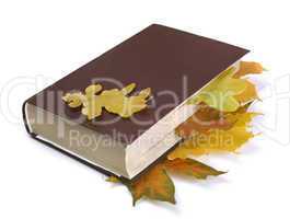 Autumn  leaves in the book