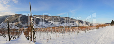 schneebedeckte Weinlandschaft an der Mosel