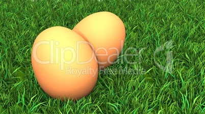 Zwei gelbe Eier im Gras - 01