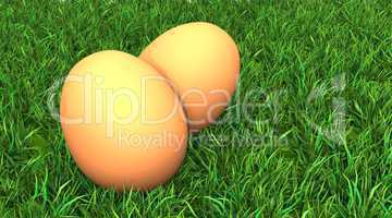Zwei gelbe Eier im Gras - 01