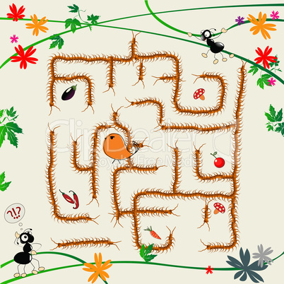 Complicated maze