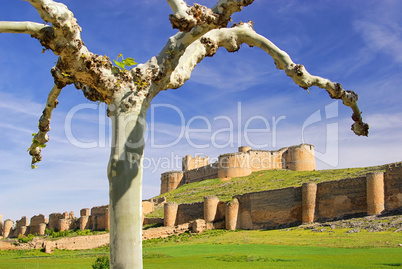 Berlanga de Duero Castillo 03