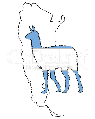 Lama Argentinien