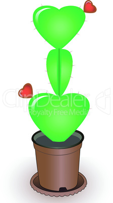 Cactus with flowers heart