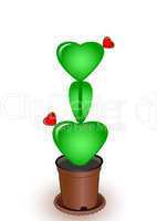 Cactus with flowers hearts