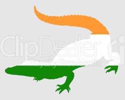 Krokodil Indien