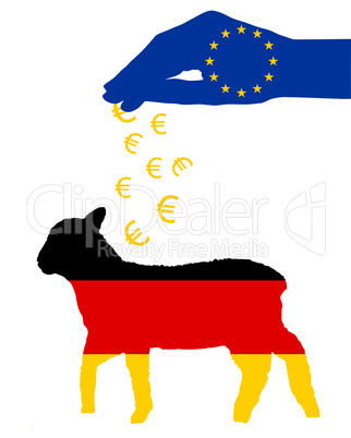 Deutsches Lamm mit EU Subventionen