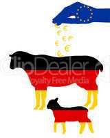 Deutsches Schaf mit EU Subventionen