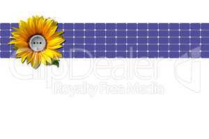 Sonnenblume, Steckdose, Solarzellen