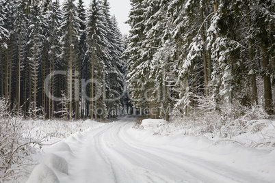 Winter Landschaft