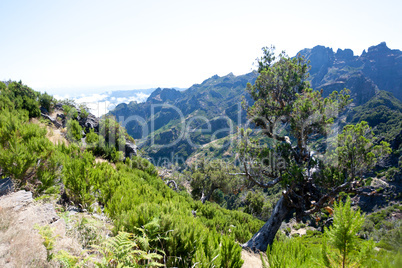 Landschaft auf Madeira