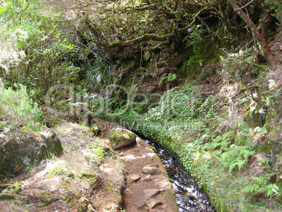 Levada