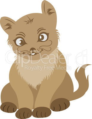 hand drawn portrait cat isolated