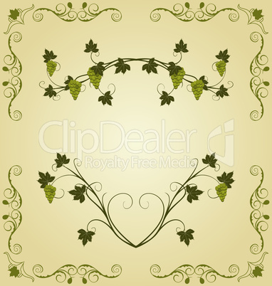 Illustration the grape twig ornate