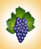 clous-up purple grape isolated