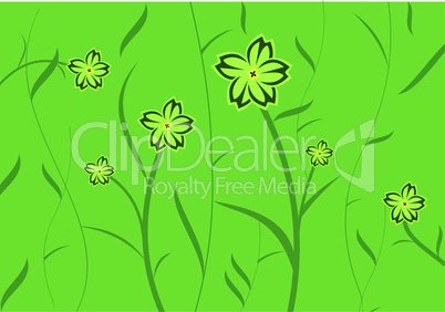 Green flower background for design of cards or invitation