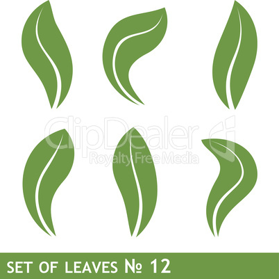 Illustration of leaves set for design
