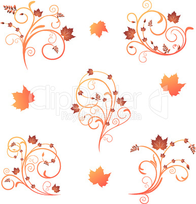 Autumn floral design