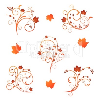 Autumn floral design
