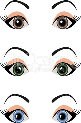 set female eyes isolated