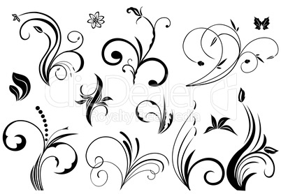 Floral vector elements