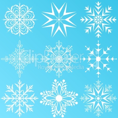 set variation snowflakes isolated