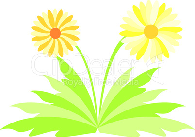 Illustration spring flowers