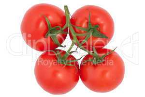 Ripe Tomatoes