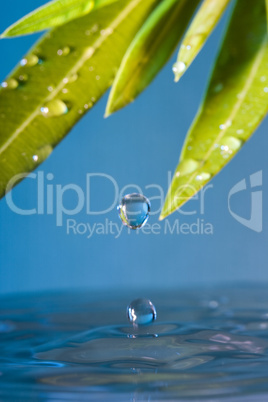 Water drop