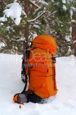 Backpack in snow forest