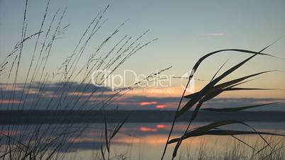 Sunset lake and grass