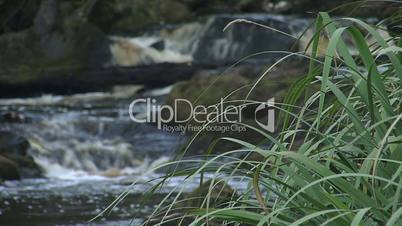 Waterfall and grass