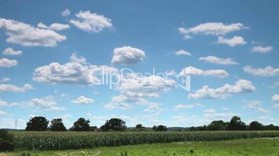 Sky over corn field